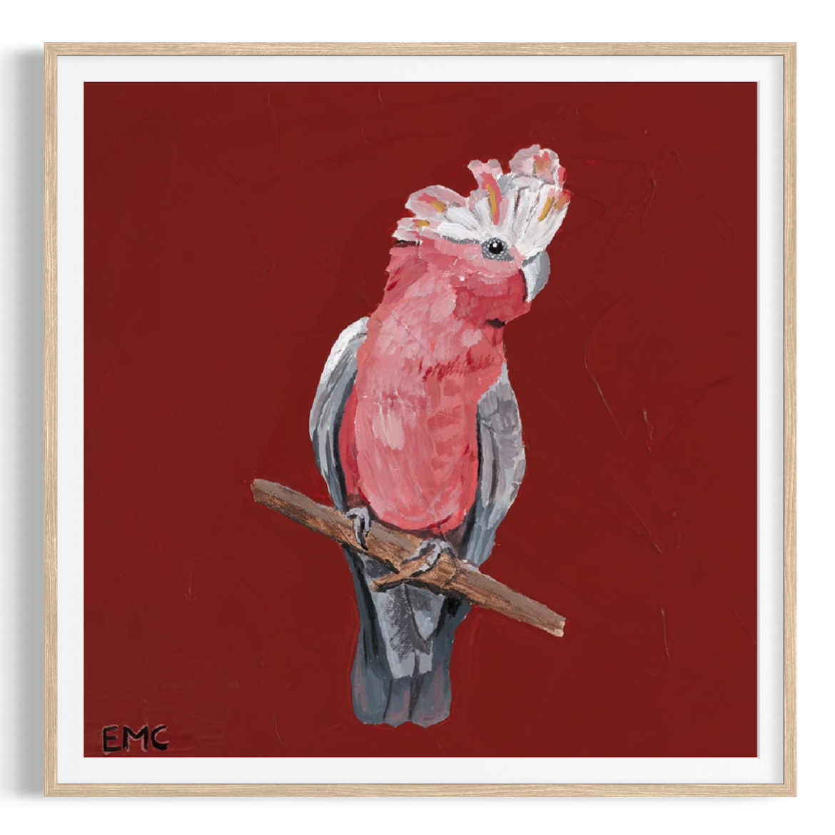 Australian Galah - Paper PRINT (Framed/unframed)
