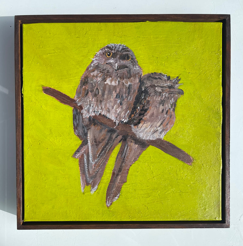 Tawny frogmouths