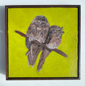 Tawny frogmouths