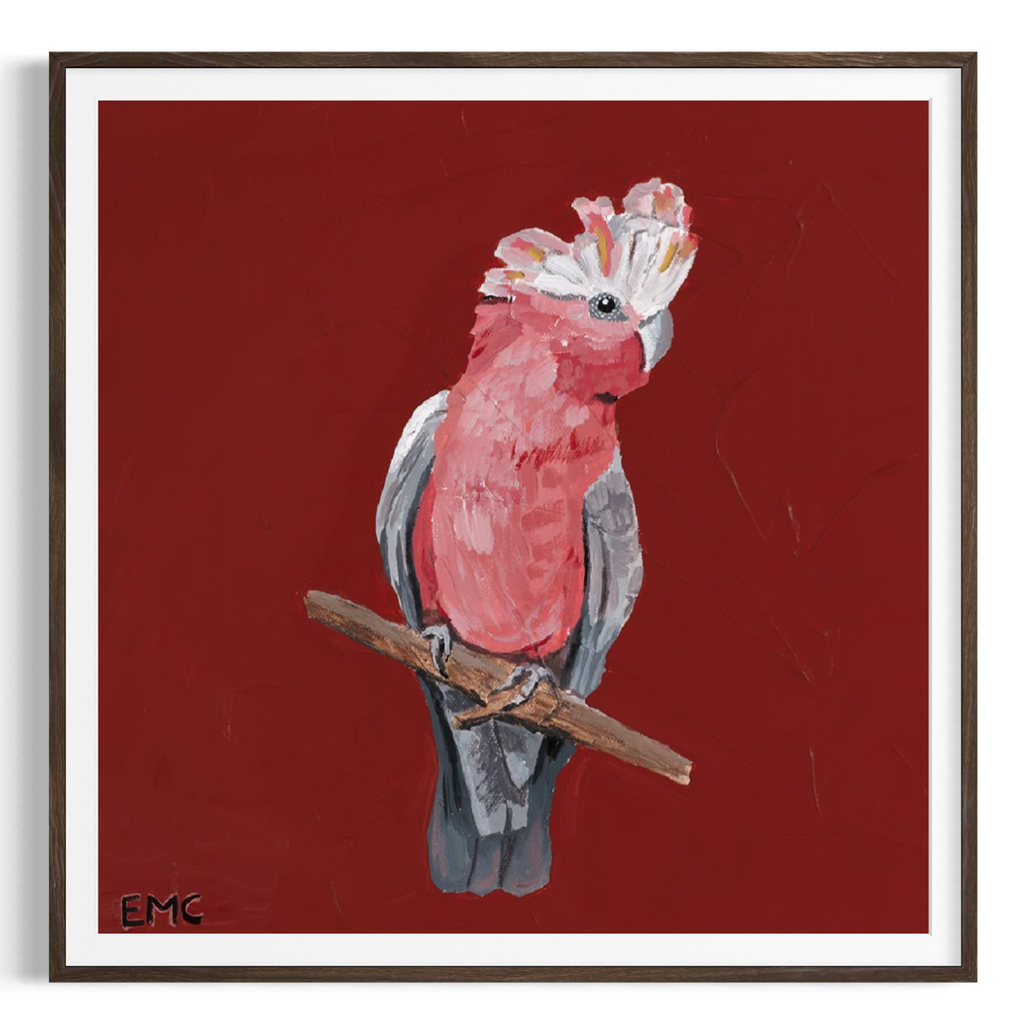 Australian Galah - Paper PRINT (Framed/unframed)