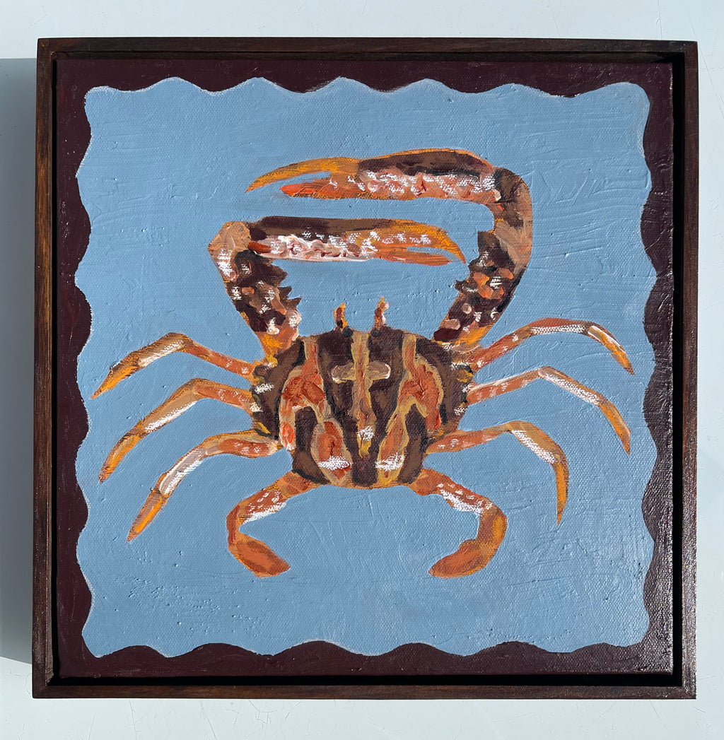 Tiger Spanner Crab