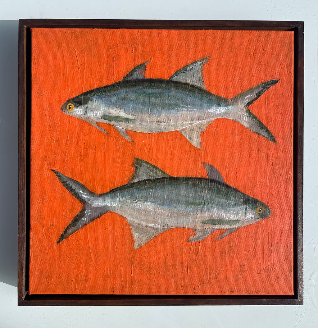 Blue Threadfin Salmon