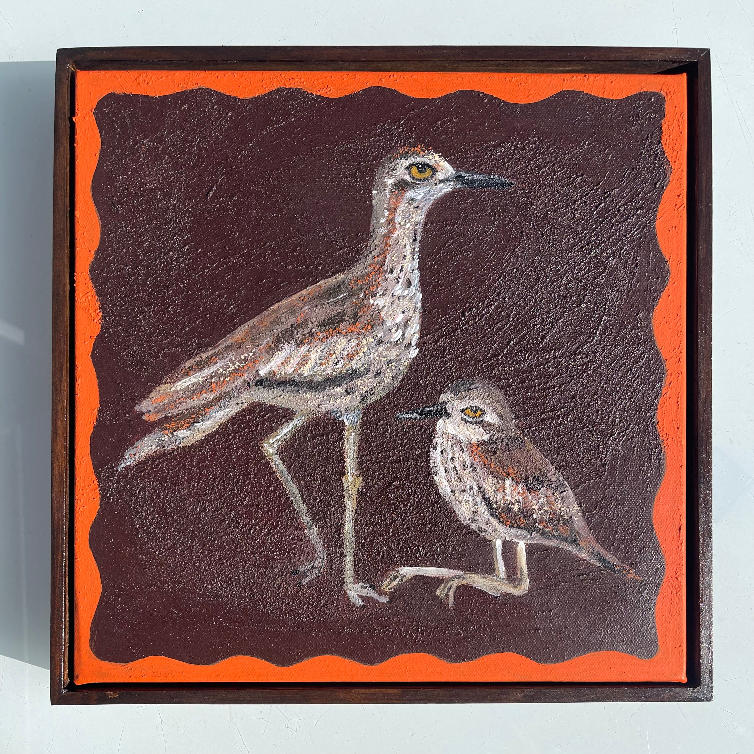 Bushstone curlews