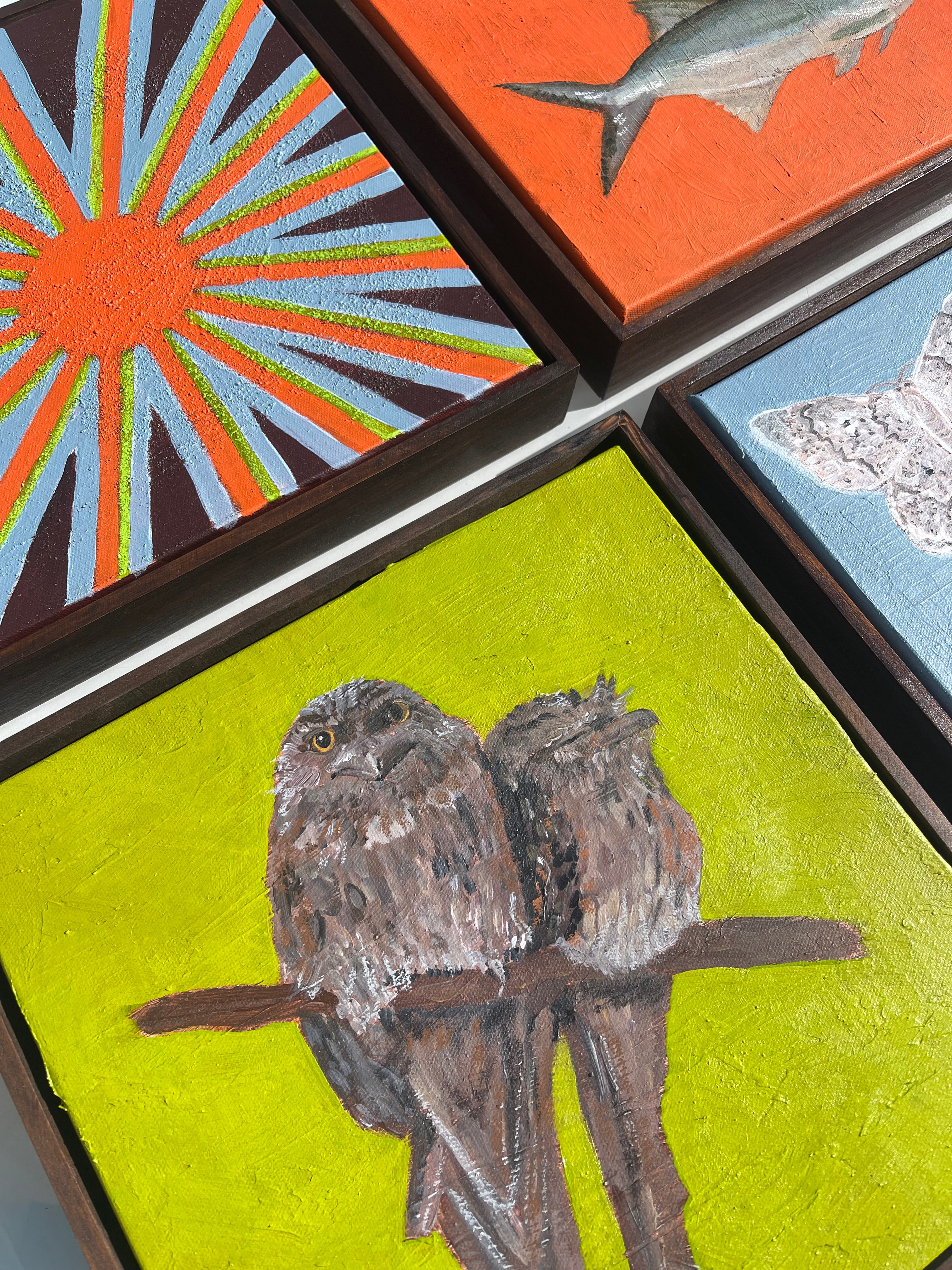 Tawny frogmouths