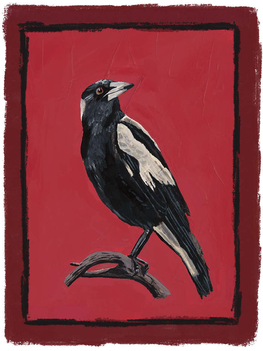 MAGPIE - men’s t-shirt