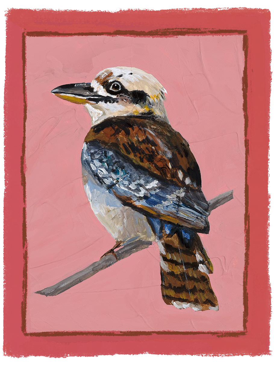 KOOKABURRA - Women's t-shirt