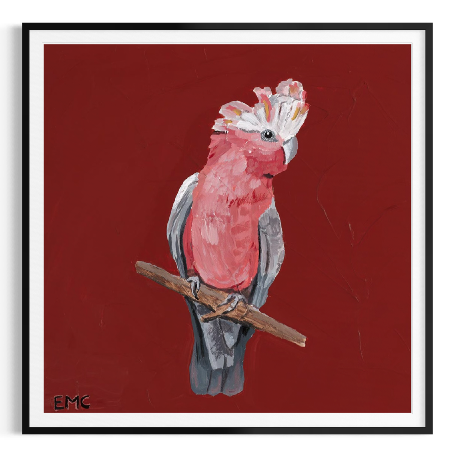 Australian Galah - Paper PRINT (Framed/unframed)