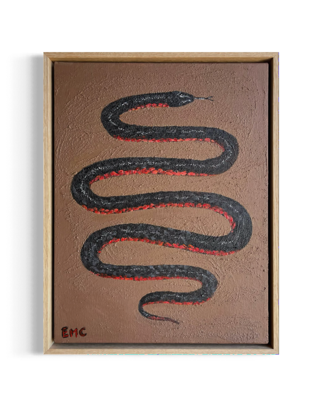 Red-bellied black snake