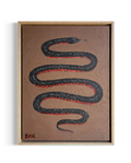 Red-bellied black snake