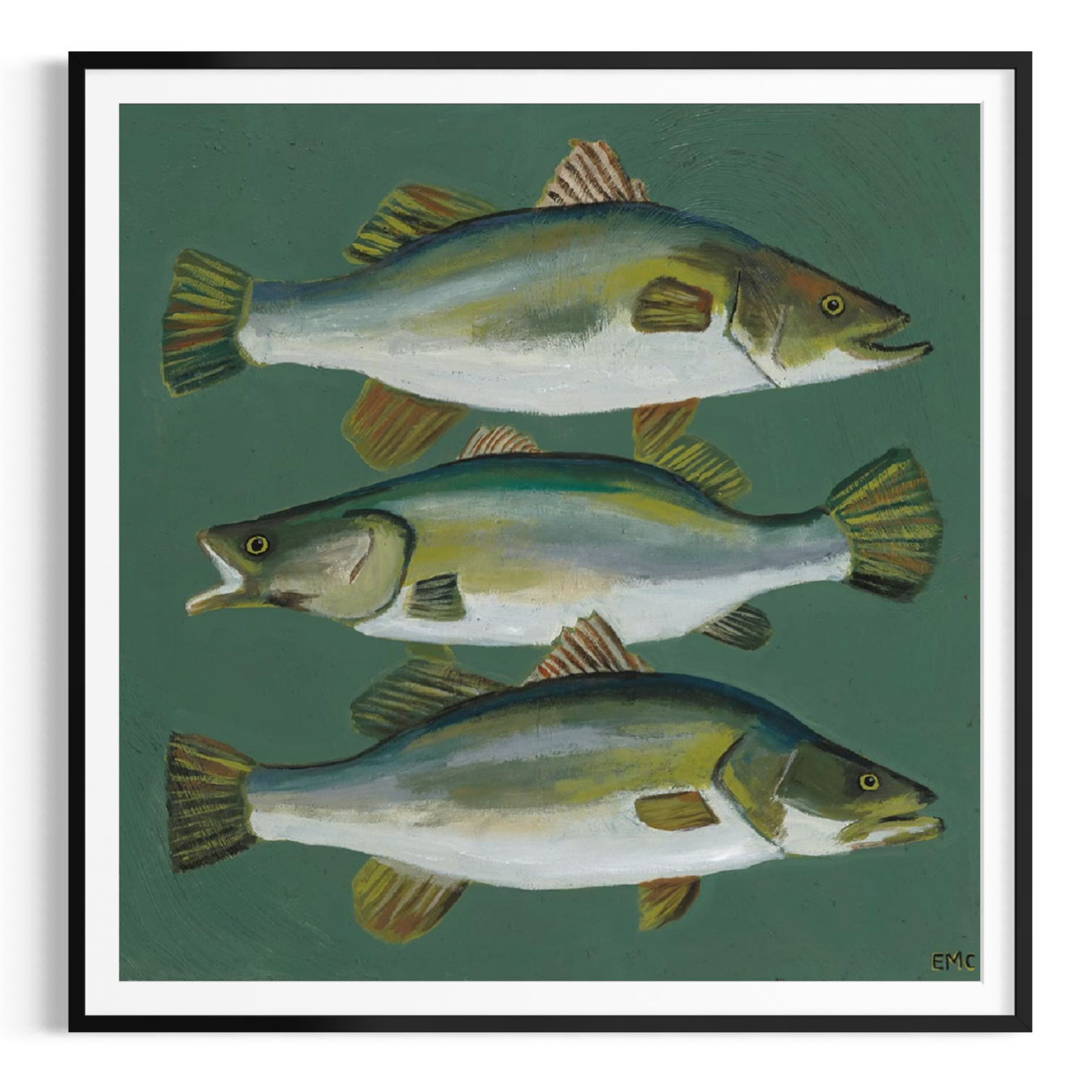 3 Barramundi  - Paper PRINT (Framed/unframed)
