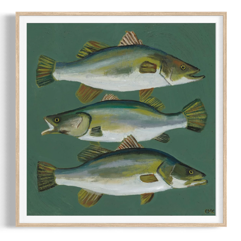 3 Barramundi  - Paper PRINT (Framed/unframed)