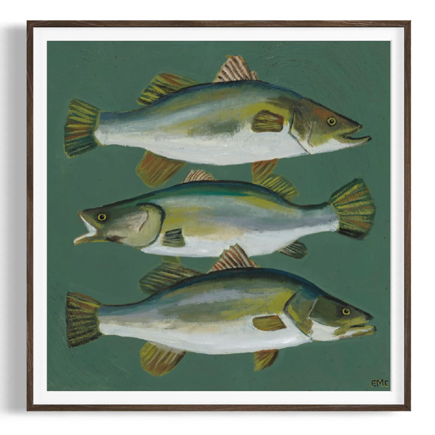 3 Barramundi  - Paper PRINT (Framed/unframed)
