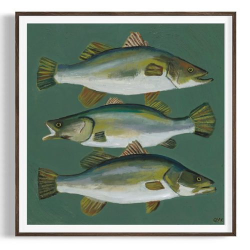 3 Barramundi  - Paper PRINT (Framed/unframed)
