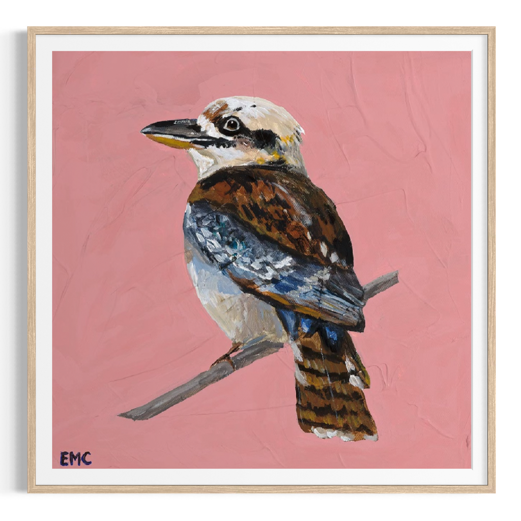 Kookaburra - Paper PRINT (Framed/unframed)
