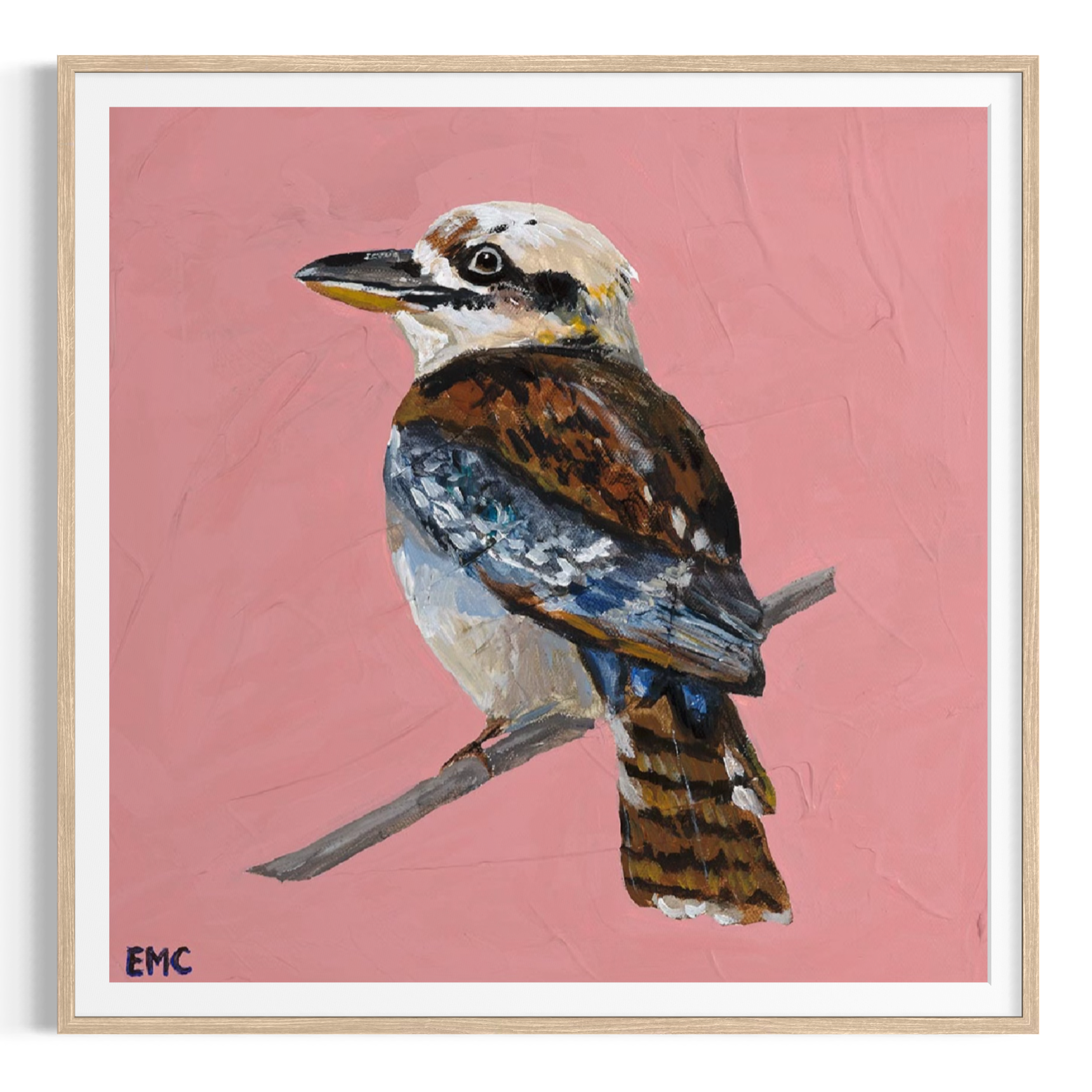Kookaburra - Paper PRINT (Framed/unframed)