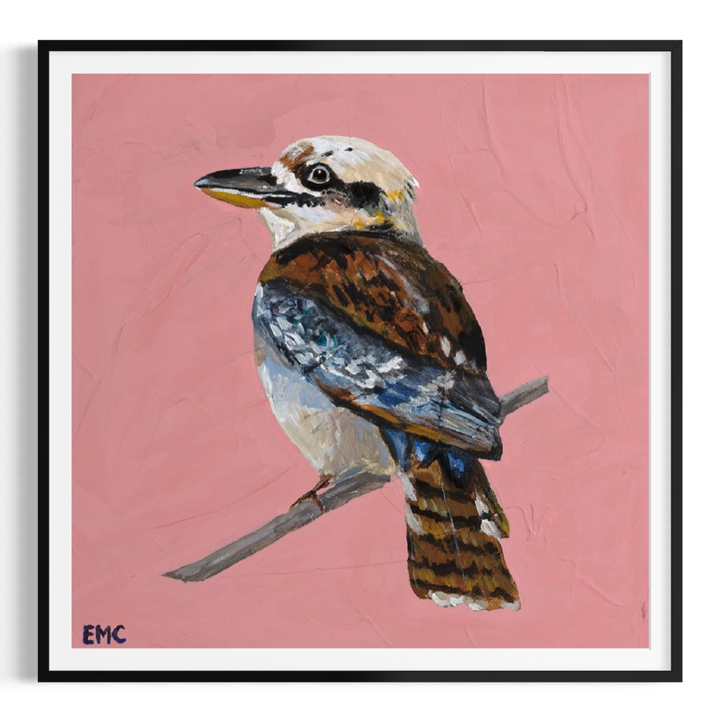 Kookaburra - Paper PRINT (Framed/unframed)