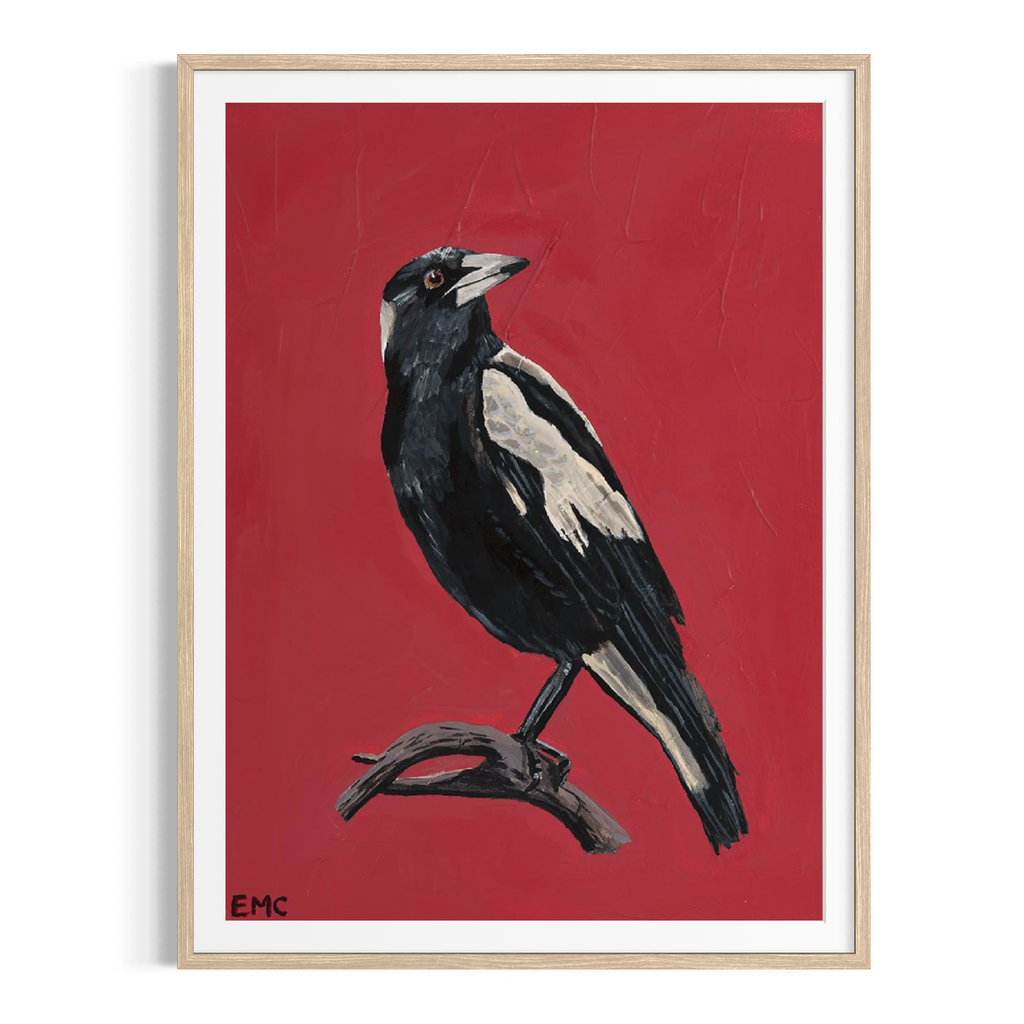Australian Magpie - Paper PRINT (Framed/unframed)
