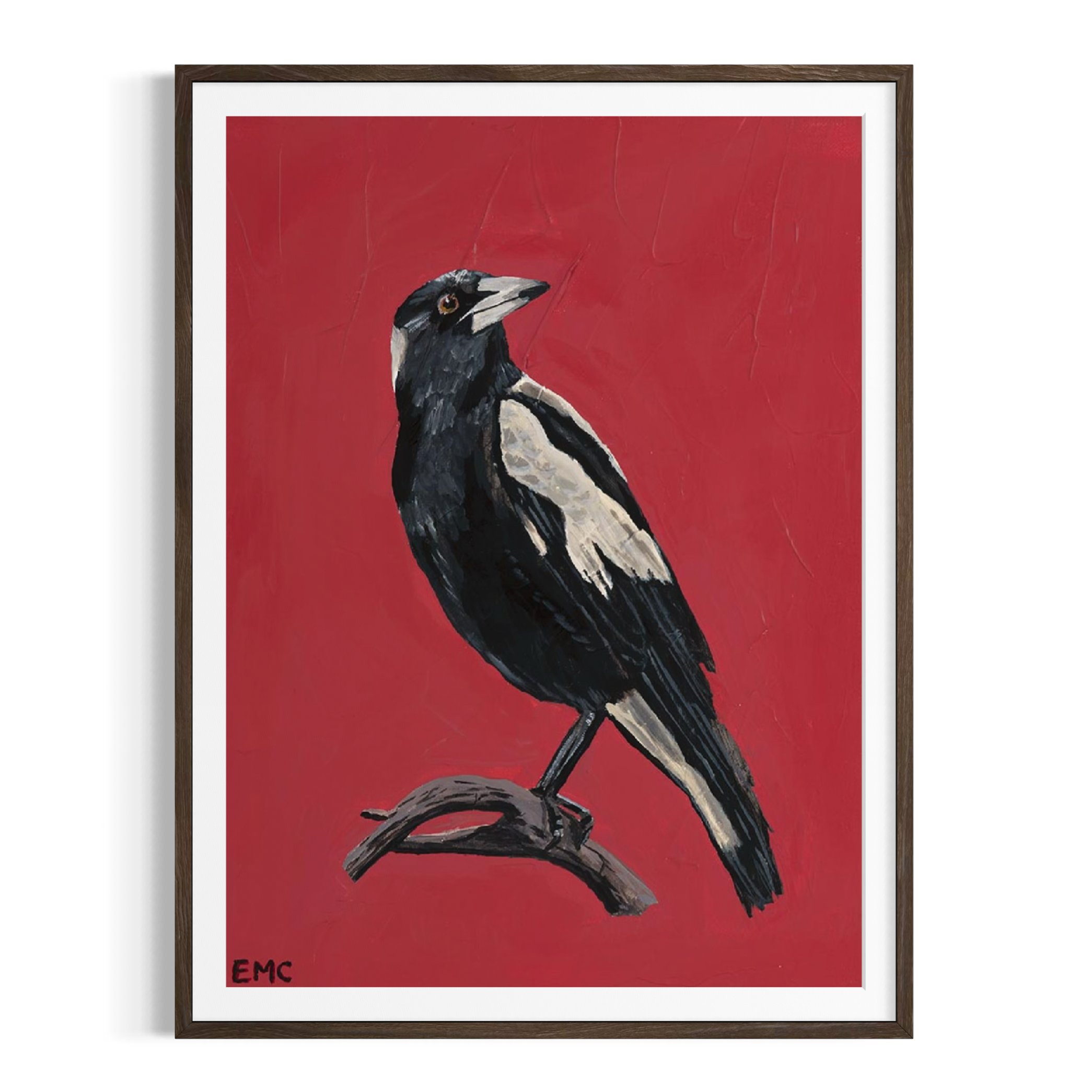 Australian Magpie - Paper PRINT (Framed/unframed)