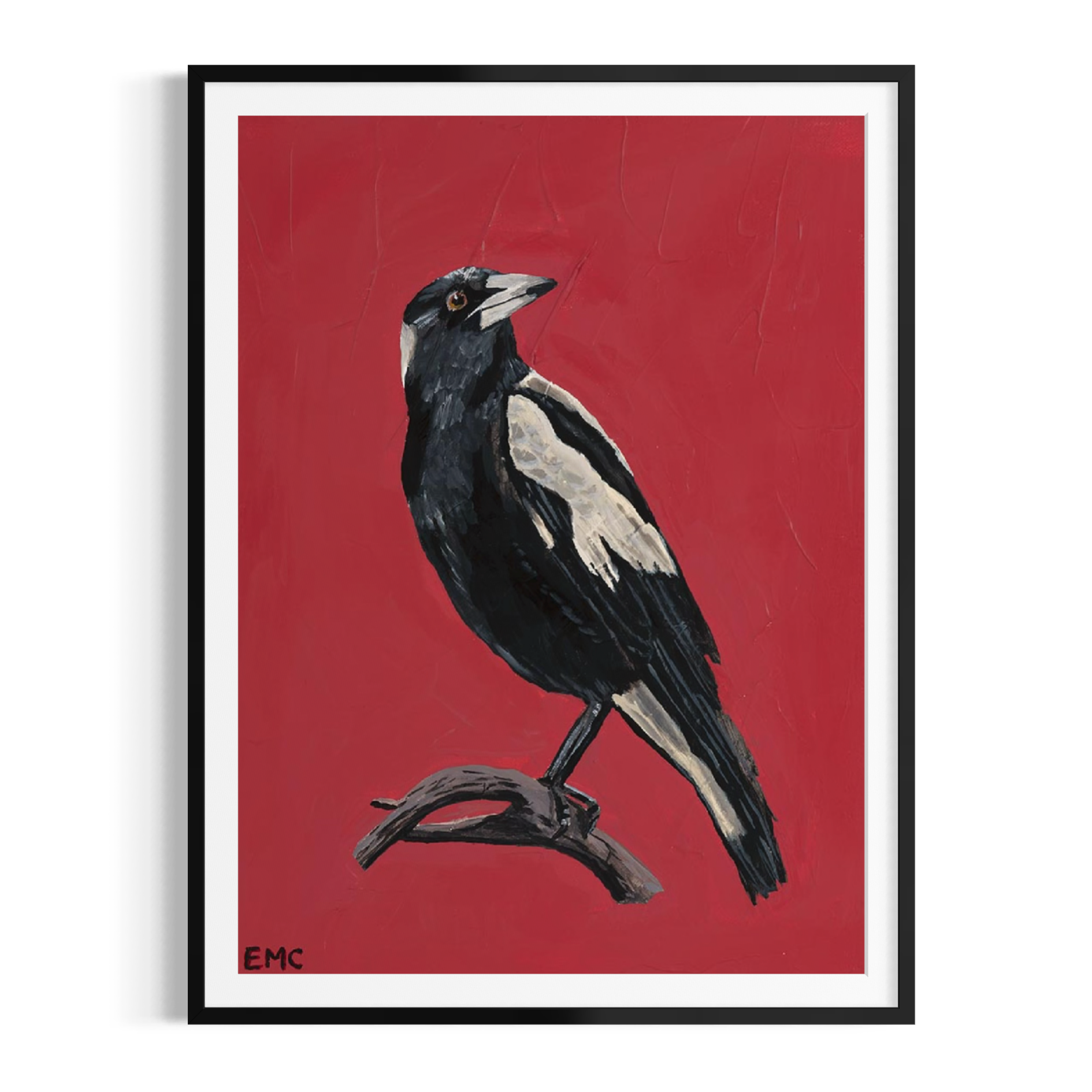 Australian Magpie - Paper PRINT (Framed/unframed)