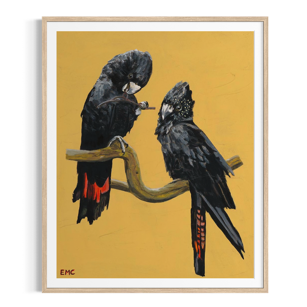 Wings of the wet season - Paper PRINT (Framed/unframed)
