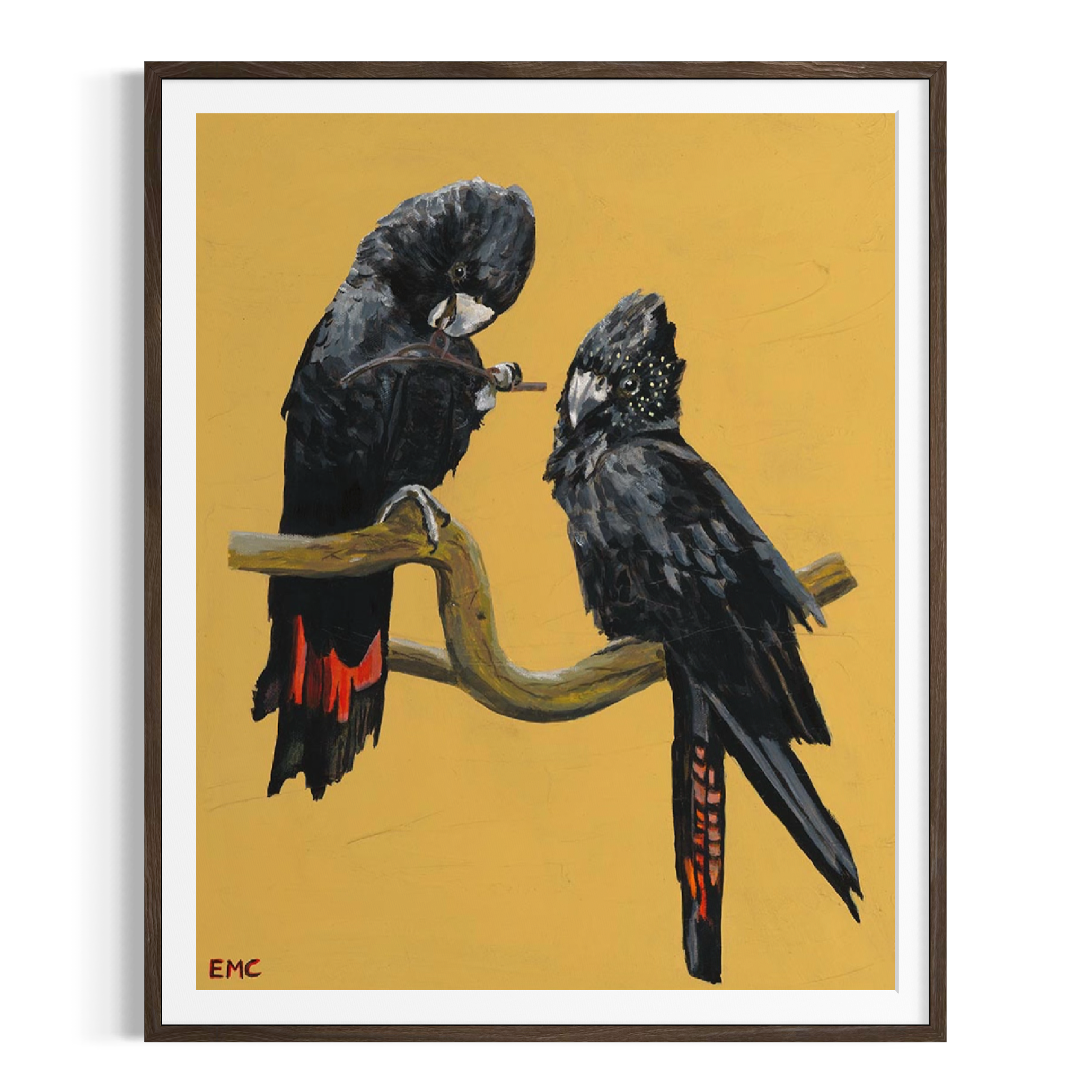 Wings of the wet season - Paper PRINT (Framed/unframed)