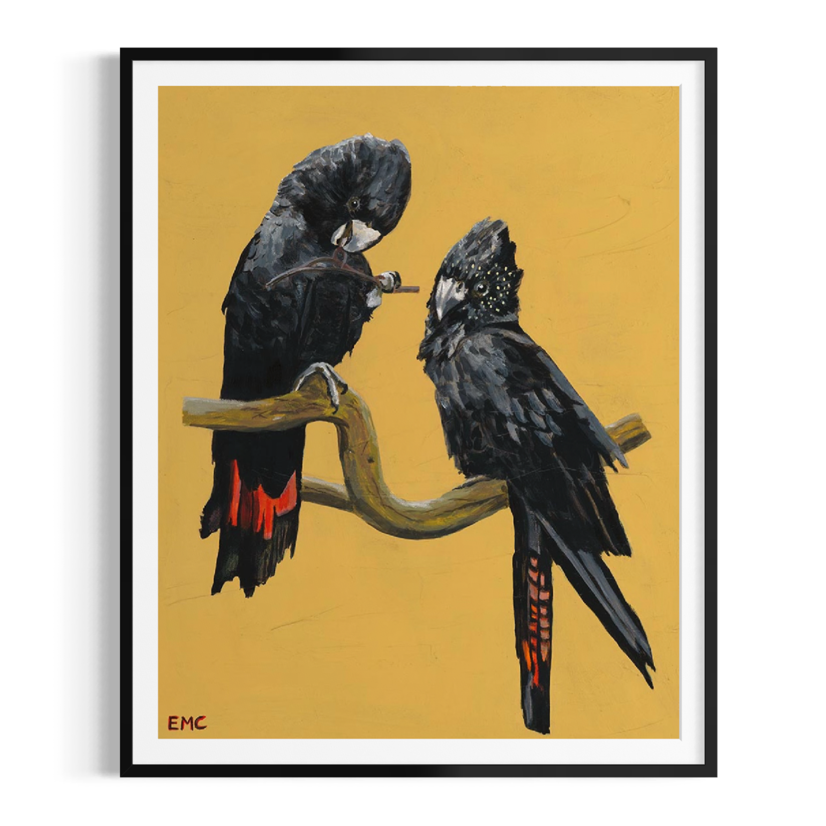 Wings of the wet season - Paper PRINT (Framed/unframed)