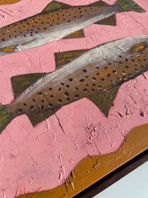 A Couple of Brown Trout