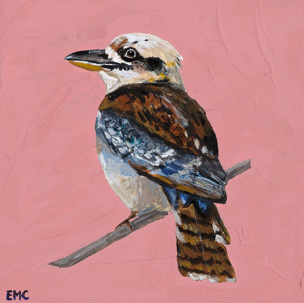 Kookaburra - Paper PRINT (Framed/unframed)