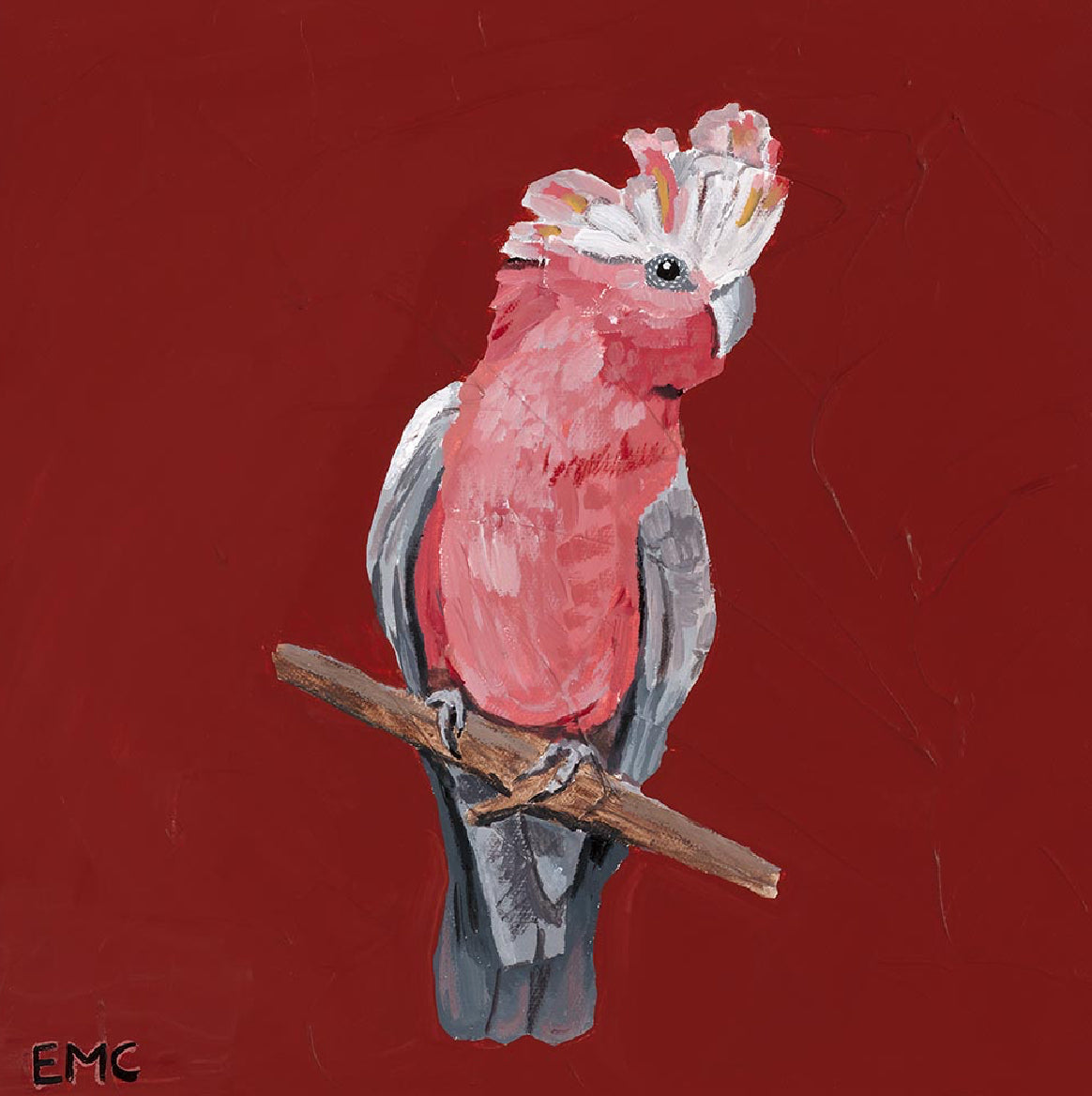 Australian Galah - Paper PRINT (Framed/unframed)
