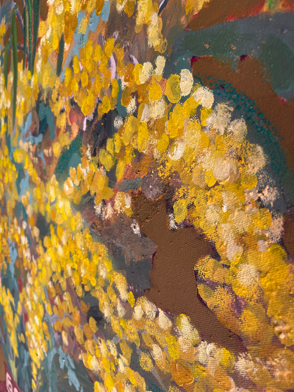 AUSTRALIAN WATTLE IN VASE