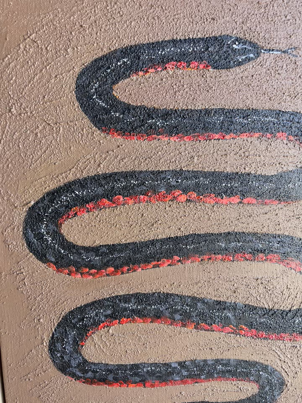 Red-bellied black snake